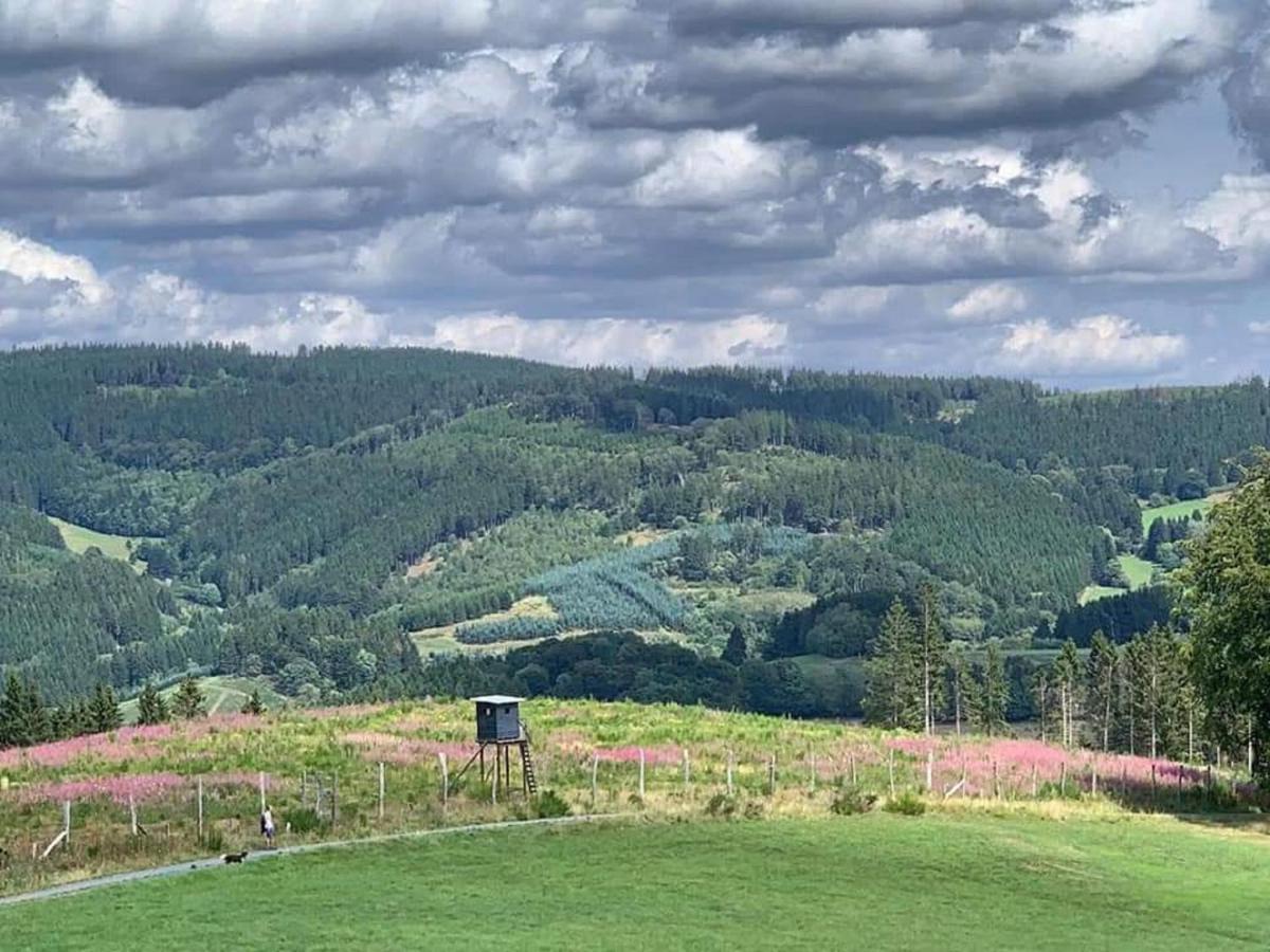 Ferienwohnungen Bergnest Winterberg Exterior photo